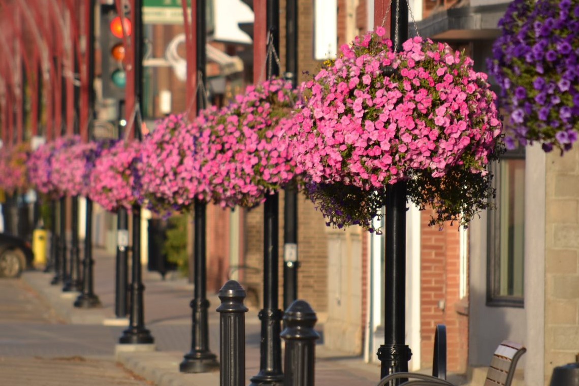 2020 #VermilionOnline Festival