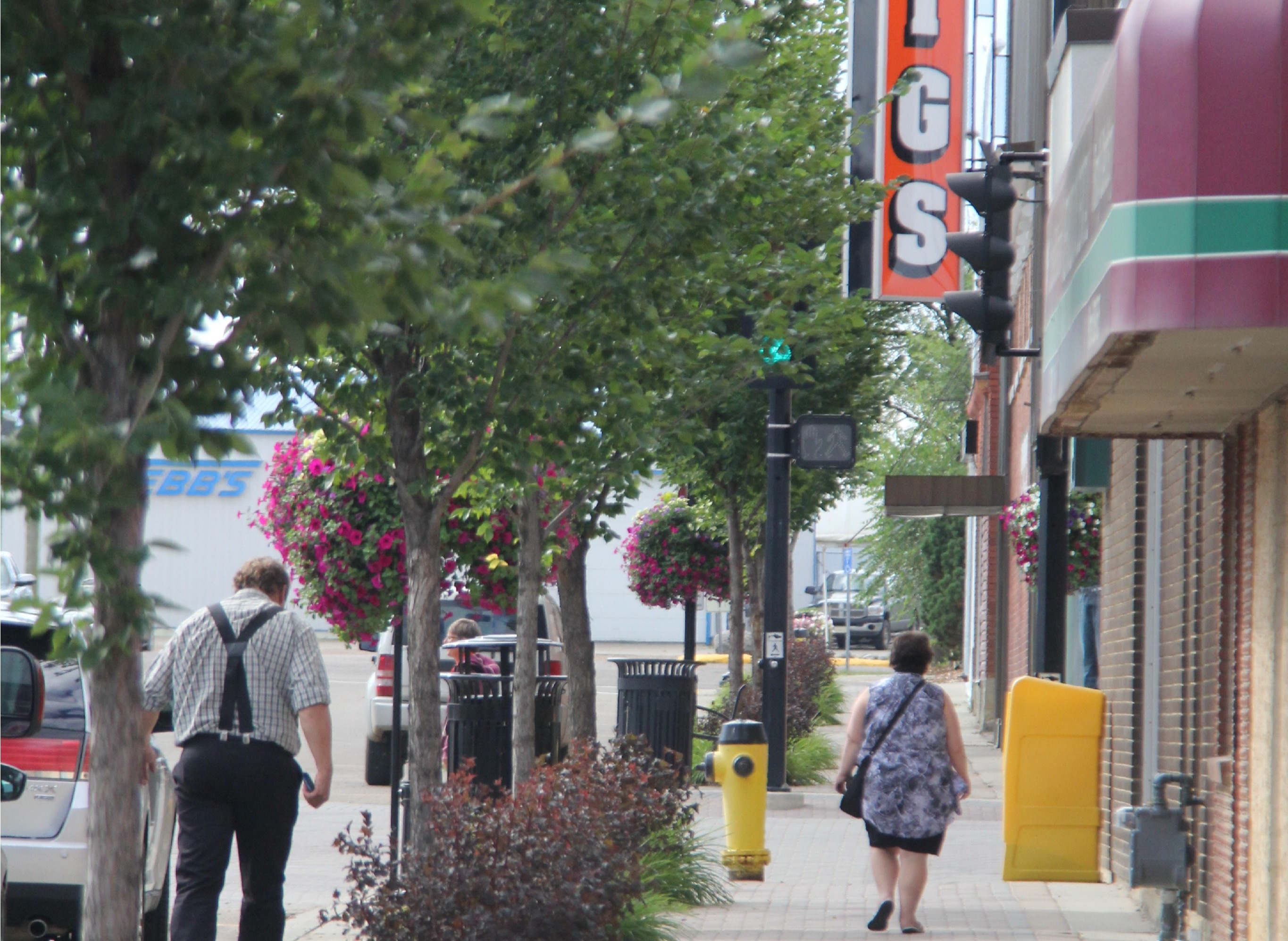 Economic Development