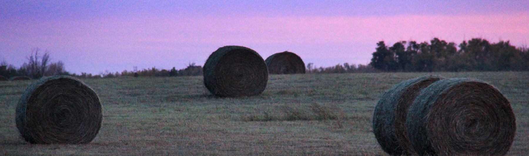 Hay Field