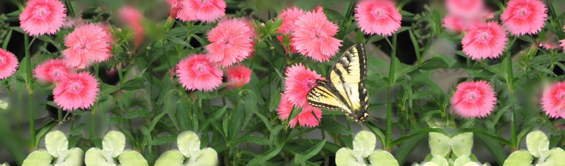 Communities In Bloom Mural